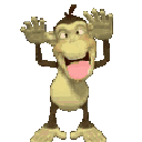 Monkey making a silly face with tongue out and hands on ears.