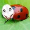 jeffthebugged Discord Emoji | †༒ 𝕽𝖆𝖇𝖎𝖉 𝖂𝖎𝖋𝖎 ༒†