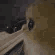 M_cat_sideeye animated GIF emoji from ✮ 𝙇𝙪𝙨𝙩𝙛𝙪𝙡 ✮
