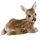 A small spotted fawn resting on the ground.