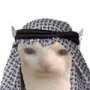 A cat with wide eyes wearing a patterned head covering against a black background.