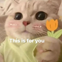A fluffy kitten with large eyes holds a small orange flower with the text This is for you overlaid.