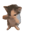 a_billota Discord emoji