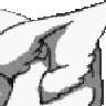 earrubbies animated Discord emote from Petting Zoo