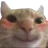 catblush
