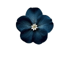 A dark blue five-petaled flower with a white center.