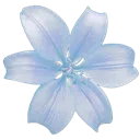 A stylized light blue flower with five rounded petals and a central stamen.