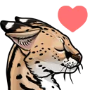 A stylized cheetah wearing dark sunglasses with a calm and cool expression.