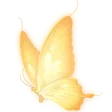 Yellow_But