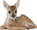 0_deer animated Discord emote - Ela's emojis