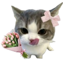 A cute gray and white kitten with a pink bow holding a bouquet of flowers and licking its lips.