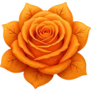 OrangeInterFlower