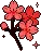 sakura_red