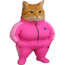 An orange cat standing confidently with its hands in the pockets of a bright pink tracksuit.