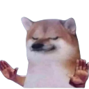 Shiba Inu dog with human arms waving its hands in a dismissive gesture.