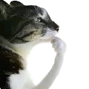 :emoji_49: