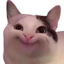 A white cat with a wide, photoshopped, and unnatural smile.