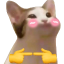 Cat with pink blushing cheeks and yellow cartoon hands touching fingertips together in a shy gesture.