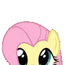 :04fluttershy: