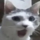 Shocked Discord Emoji from Homies