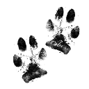 paws2 Discord Emoji - ⋆♱ sᴀɪɴᴛs