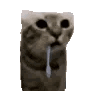 752815droolingcat animated GIF emoji - Despised Icon (18+)