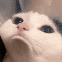emoji_15 custom emote | OrdnanceQM's community