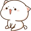 White cat with a nervous, slightly embarrassed expression and an open mouth.