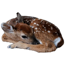 :emideer: