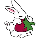 bunnystrawberrycute