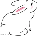 bunnylookpleadpleasecute