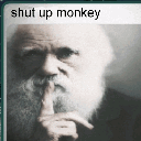 darwinshutupmonkey animated GIF emoji | Lobotomy Station