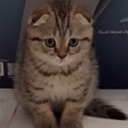 hmed1 custom emote from عـالـم الشـريـطي | Season⏳ |  3alm