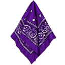 Purple paisley patterned bandana folded into a triangle shape.