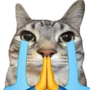 :emoji_8: