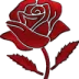 A single red rose with a green stem and leaves against a black background.