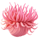 A 3D rendered pink sea anemone with soft, flowing tentacles.