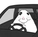 drivinghamster