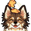 A happy brown and white dog with closed eyes being petted on the head by a hand.