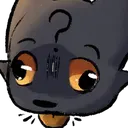exp_what