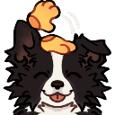 A happy black and white dog with closed eyes being petted on the head by a hand.
