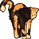 A calico cat arches its back and stretches while looking sleepy.