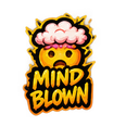 A yellow face with a shocked expression and a pink brain exploding out of its head, with the text MIND BLOWN below it.