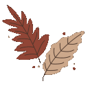 :brown: