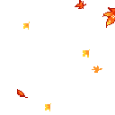 Maple leaves in shades of red, orange, and yellow falling against a white background.