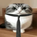 FormalKitty