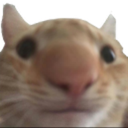 SwagSweg Discord Emoji | DarkOrbit: Legacy | Offline DarkOrbit Emulator