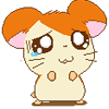 A small orange and white hamster with large, teary eyes and a single blue tear rolling down its cheek.