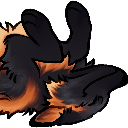 A fluffy orange and black creature lying on its back with paws in the air.