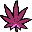 420pink